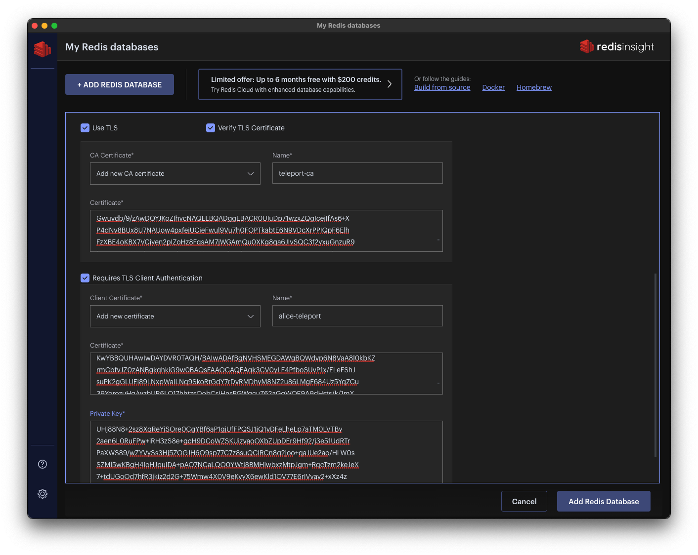 Redis Insight TLS Configuration